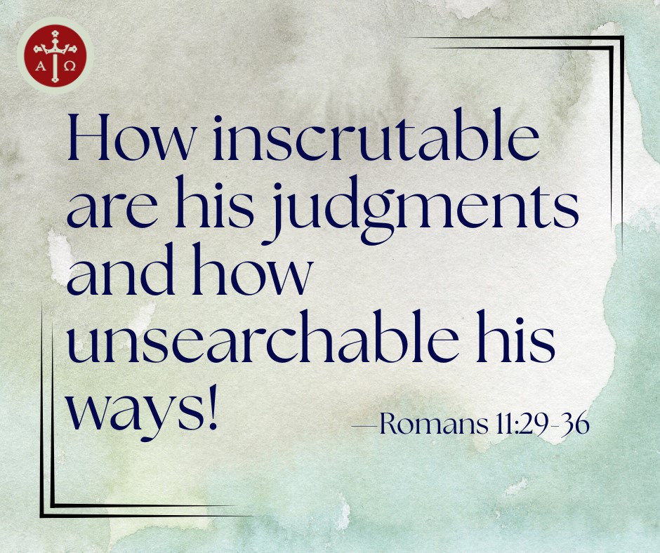 🌿 Daily Reflection | November... - Christ The King Catholic | Facebook