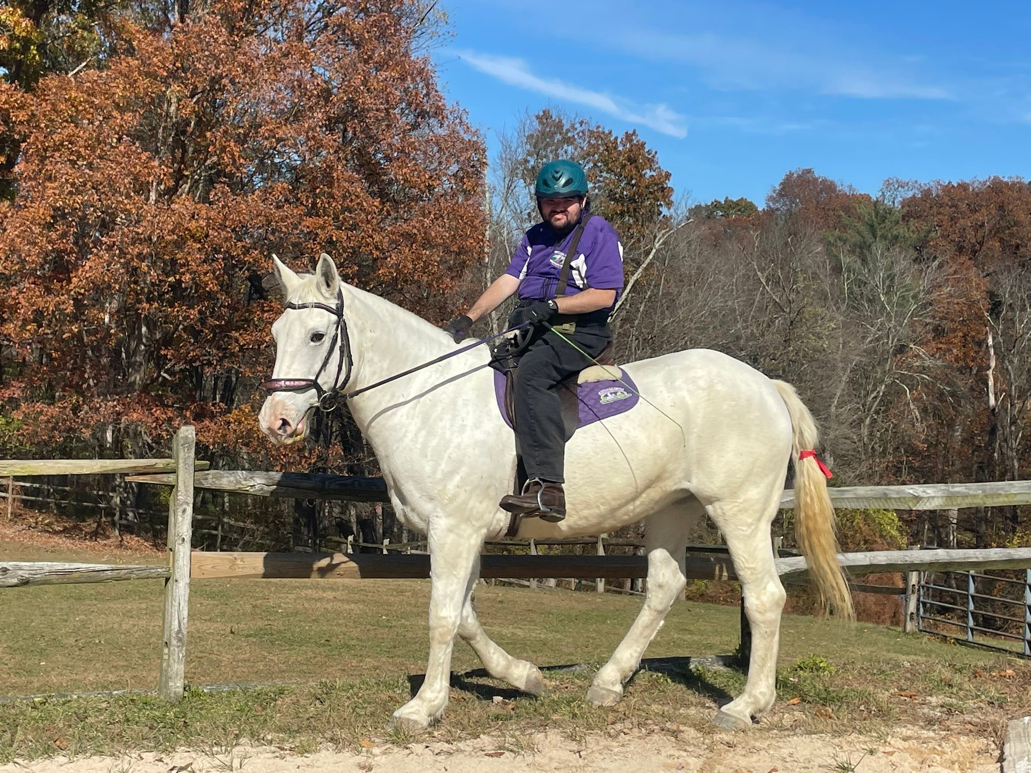 Freedom Hills... - Freedom Hills Therapeutic Riding Program
