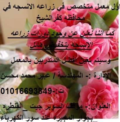 معامل زراعه انسجه Gonderiler Facebook