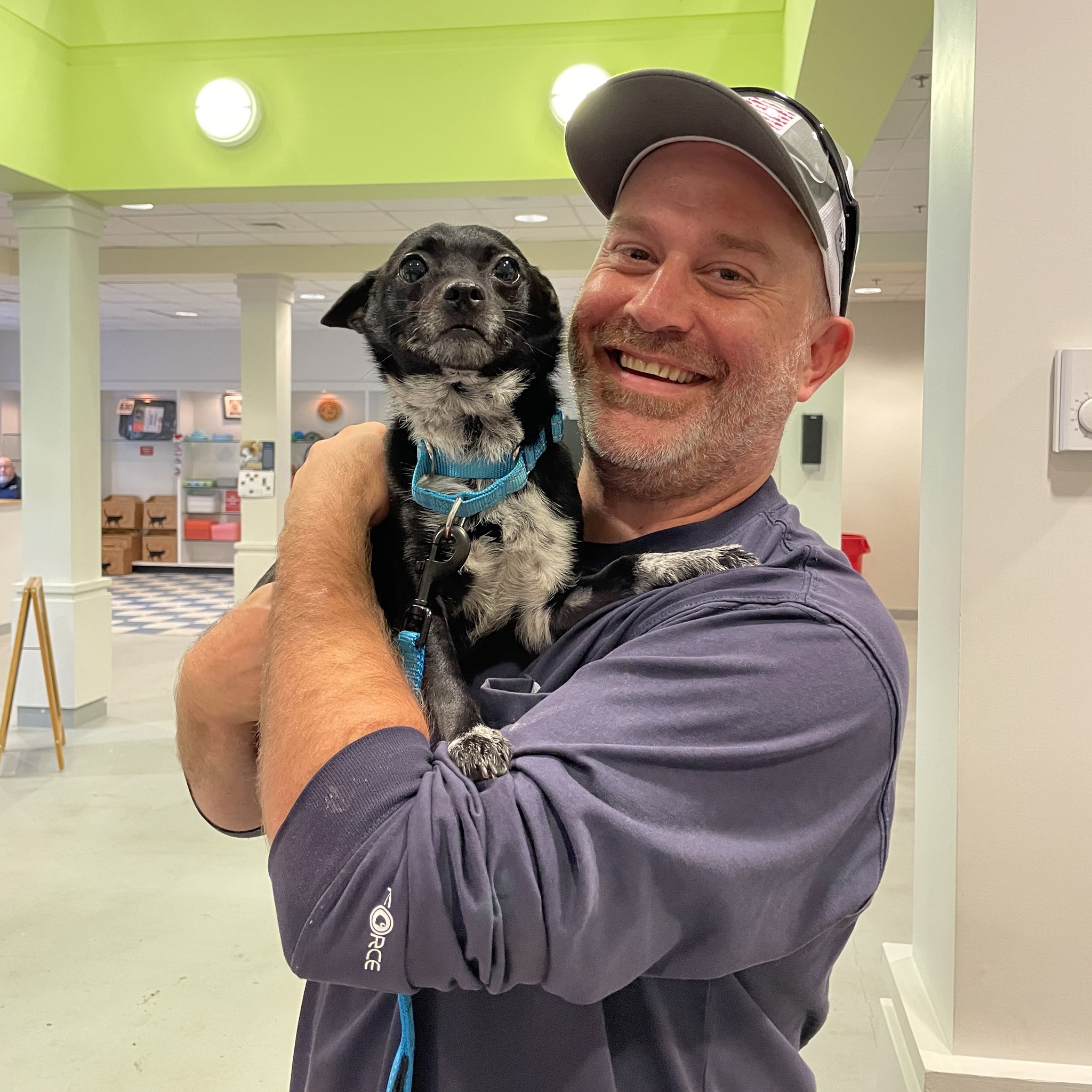 Charlottesville-Albemarle SPCA