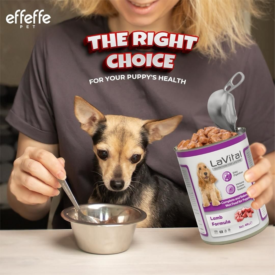 Effeffe Pet Food International