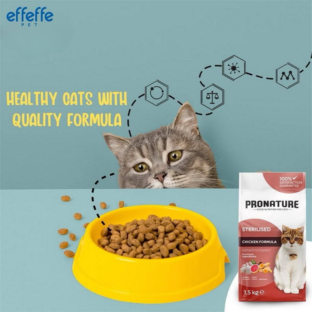 Effeffe Pet Food International