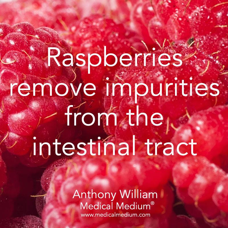 Medical Medium - Raspberries remove impurities from the intestinal ...