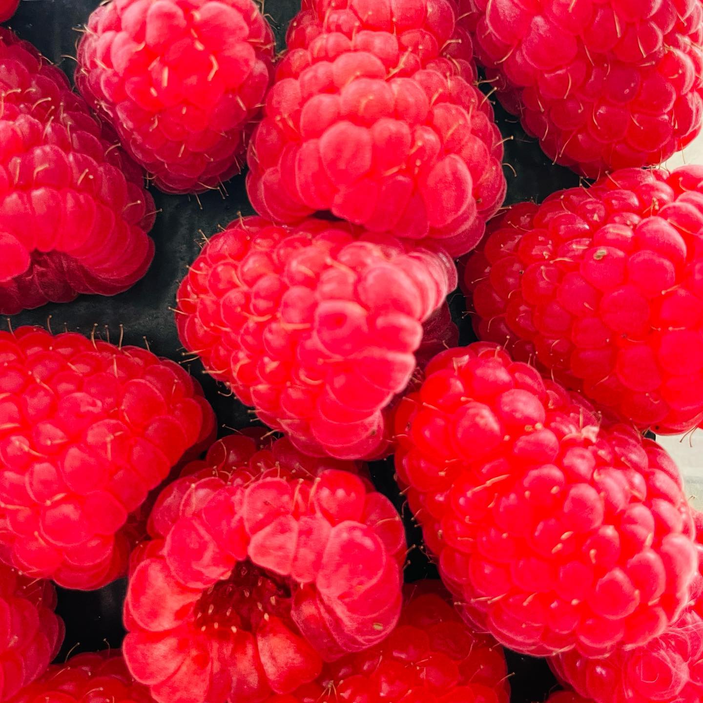 Beautiful fresh Kent Raspberry’s.... - vivienhollowaylife | Facebook