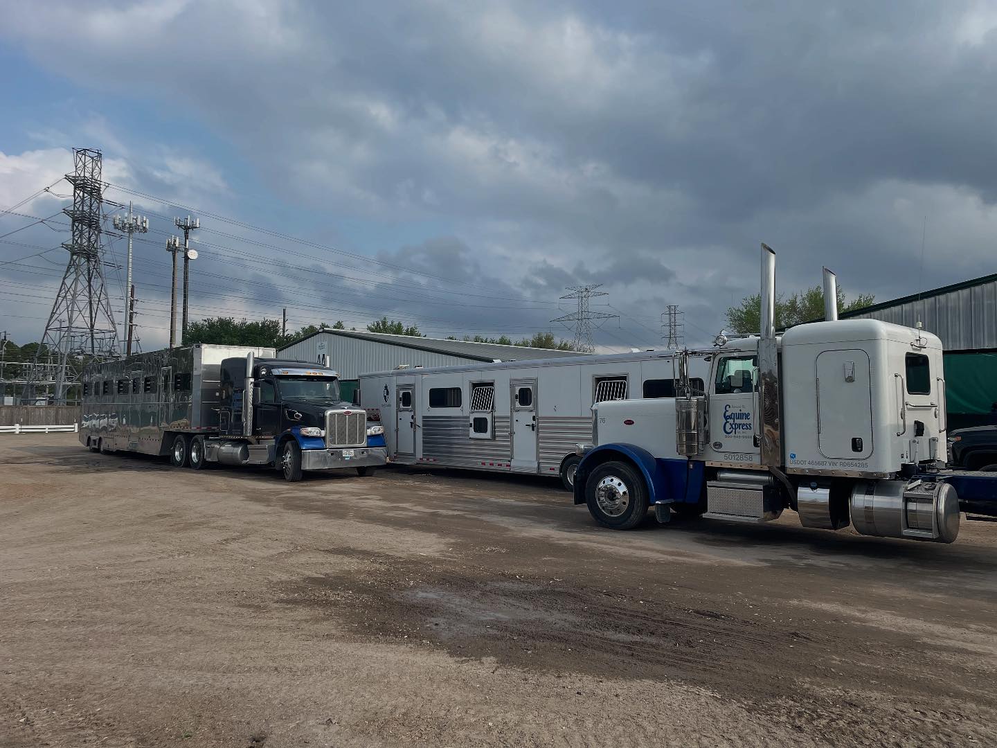 Equine Express,NA INC
