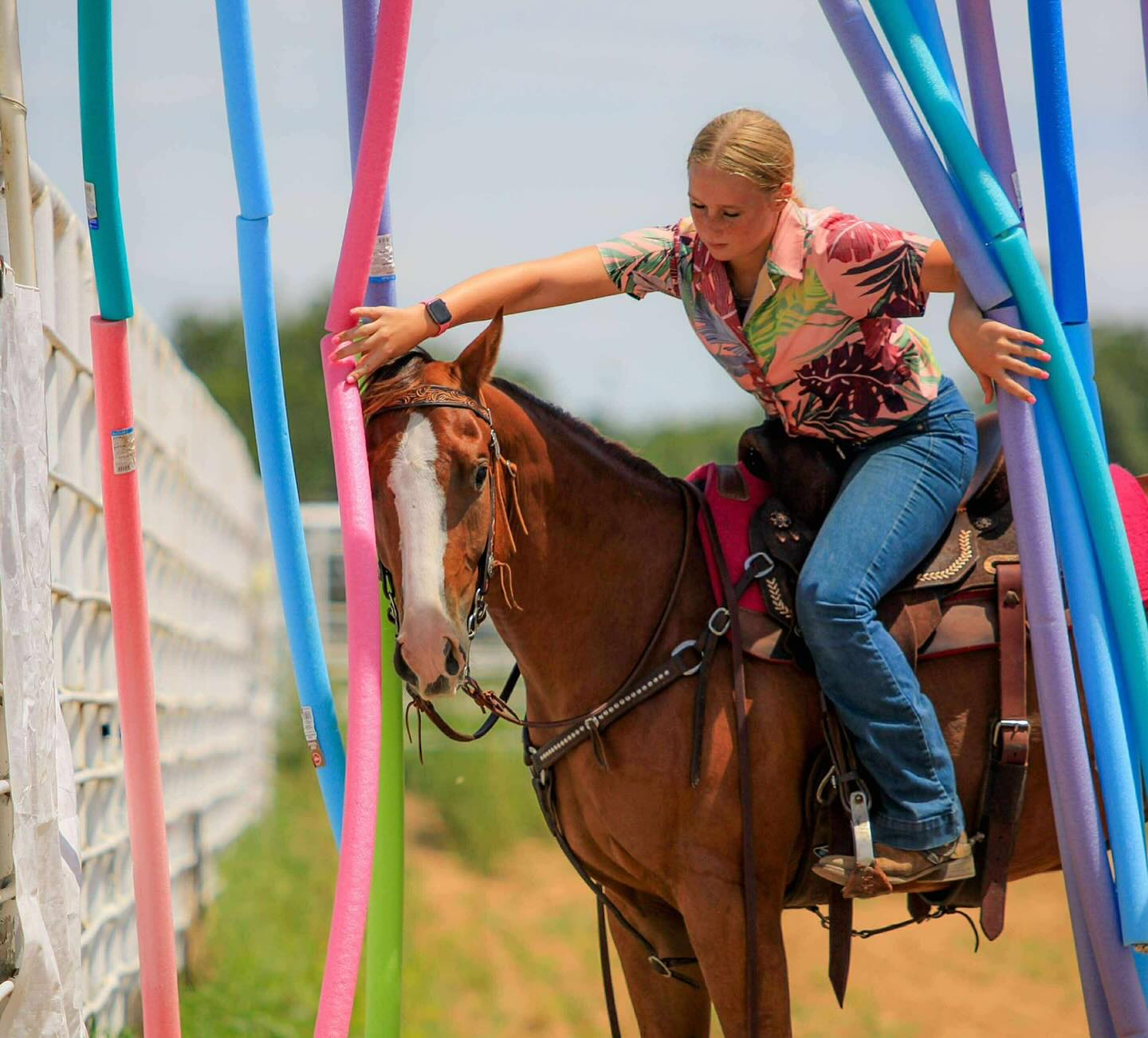 TnT Ranch & Tom Davis... - TnT Ranch & Tom Davis Horsemanship