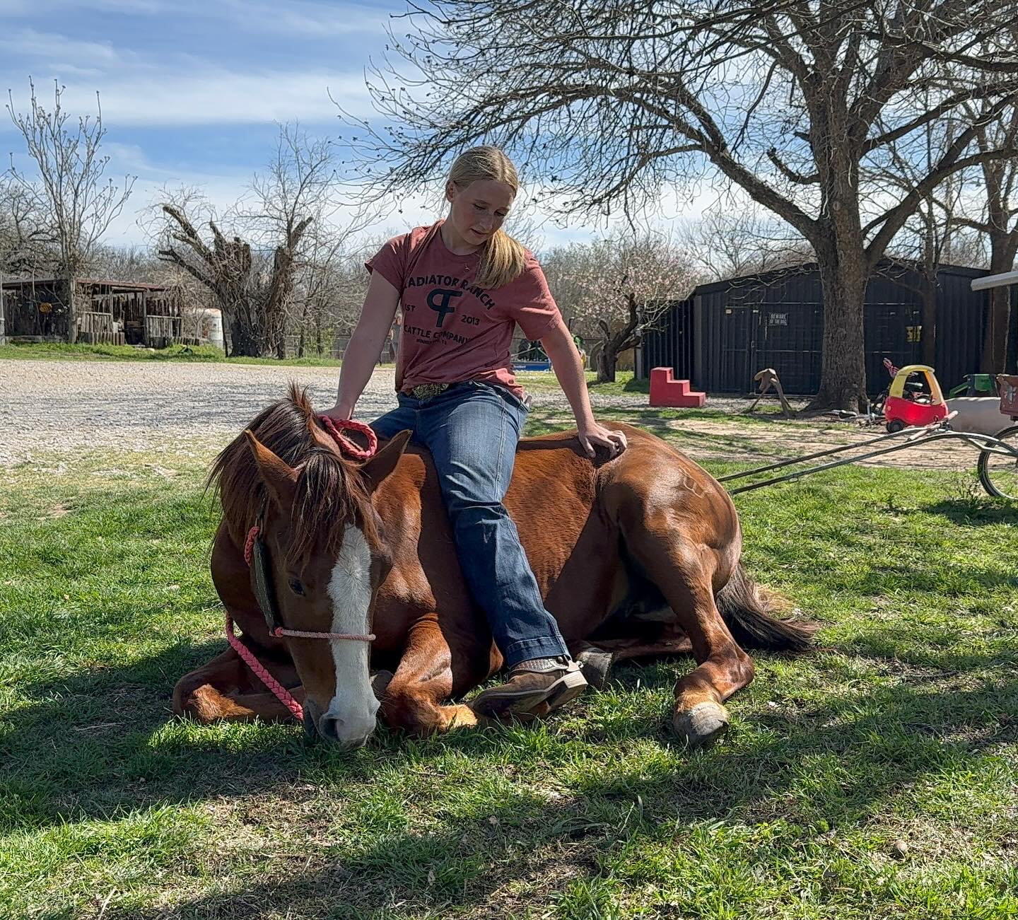 TnT Ranch & Tom Davis... - TnT Ranch & Tom Davis Horsemanship