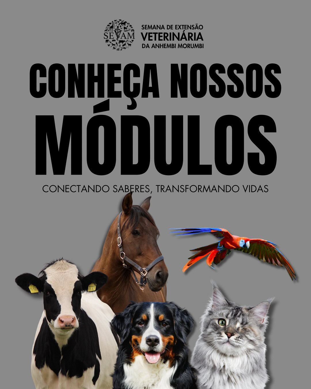 SEVAM - Semana de Extensão Veterinária da Anhembi Morumbi - Para ...