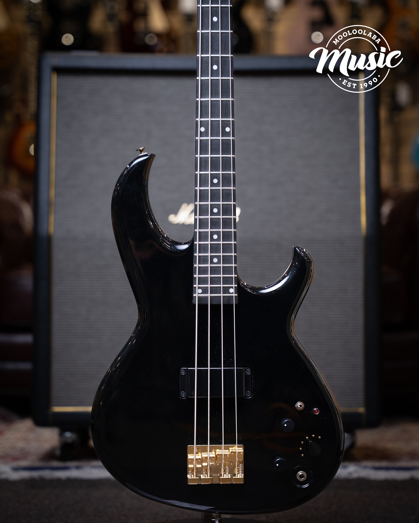 The Aria Pro II Evergreen (AE) series is a line of electric