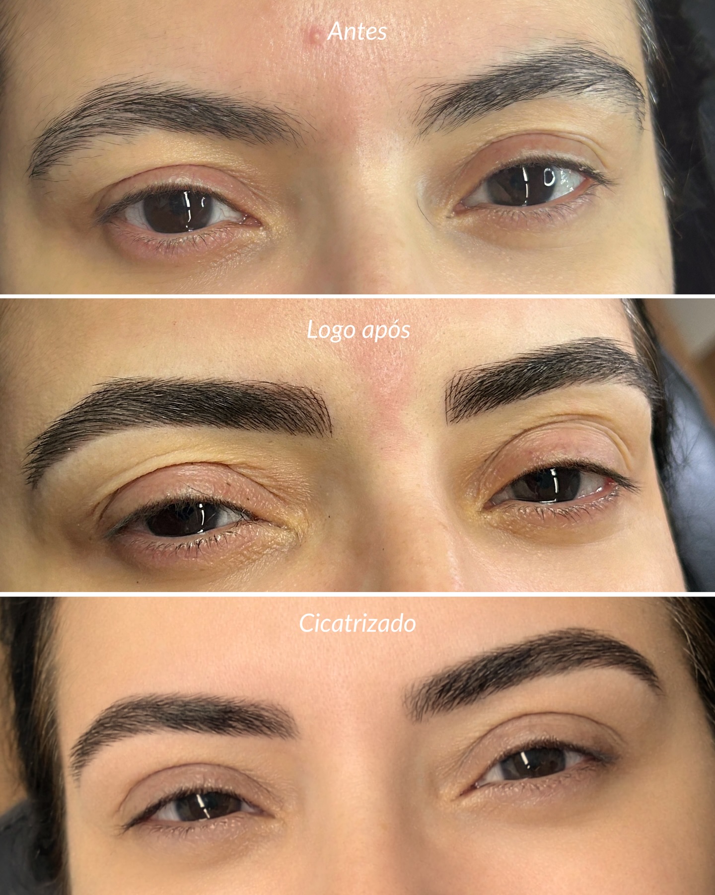 Naturale - Sobrancelhas bem desenhadas sem perder a naturalidade, com a ...