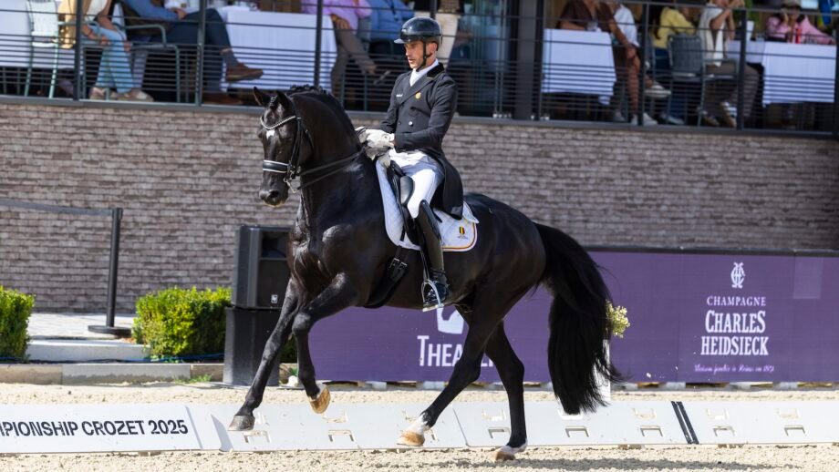 horse-hound-all-hail-the-new-king-of-dressage-facebook