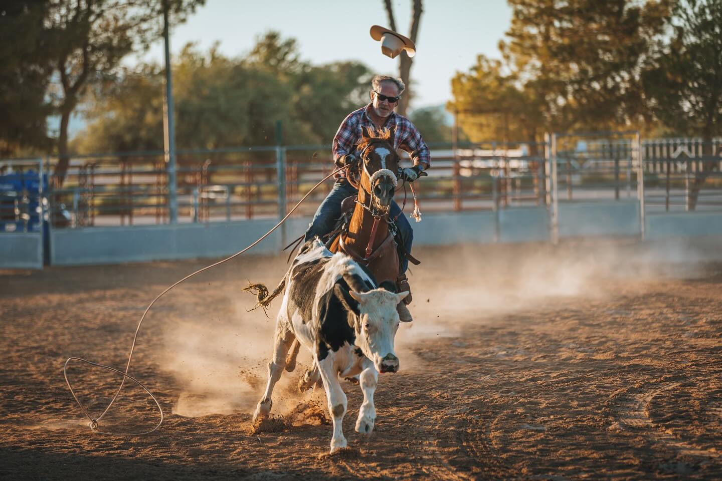 The cows running, the horse is... - Sandy Valley Ranch | Facebook