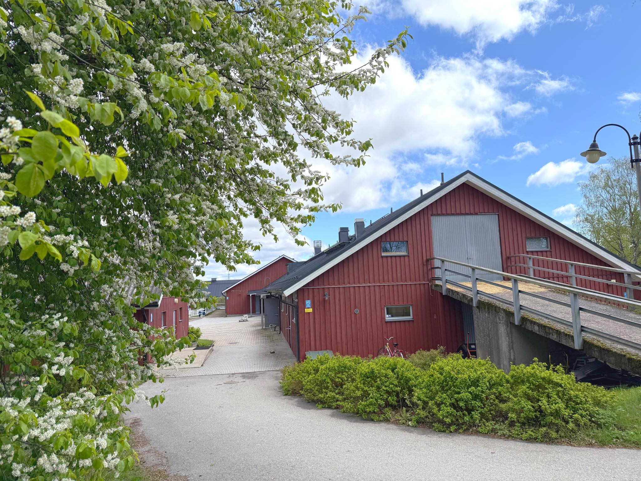 Tuomarinkylän - Rajoituksia maneesien käyttöön koronavirusepidemian ...