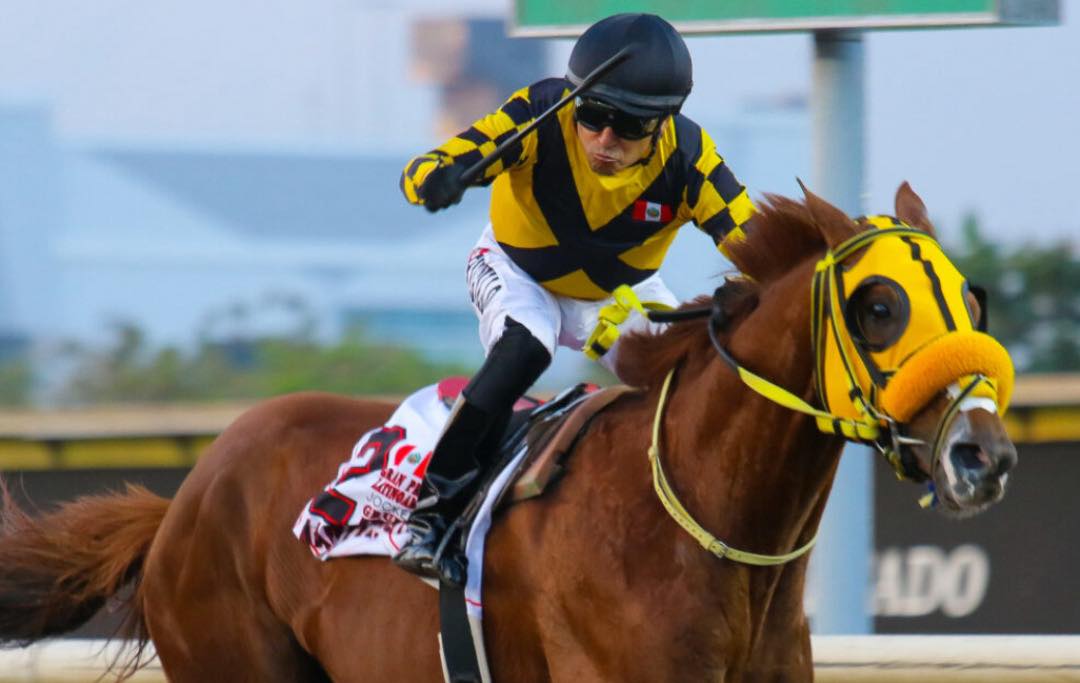 HKJC - Members of The Racing Club can login to Discover – Simulcast ...