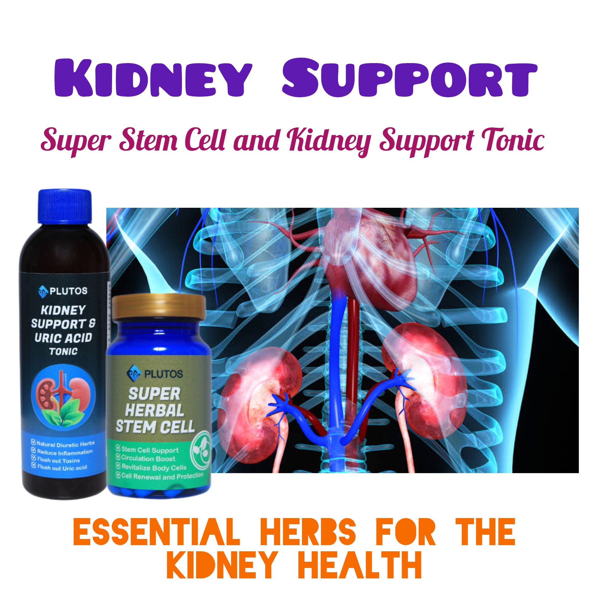 Plutos - KIDNEY AND BLADDER SUPER COMBO Kidney Tonic and Stem Cell. Kidney & Bladder Herbal ... - Herbal Kidney Blend For Cats