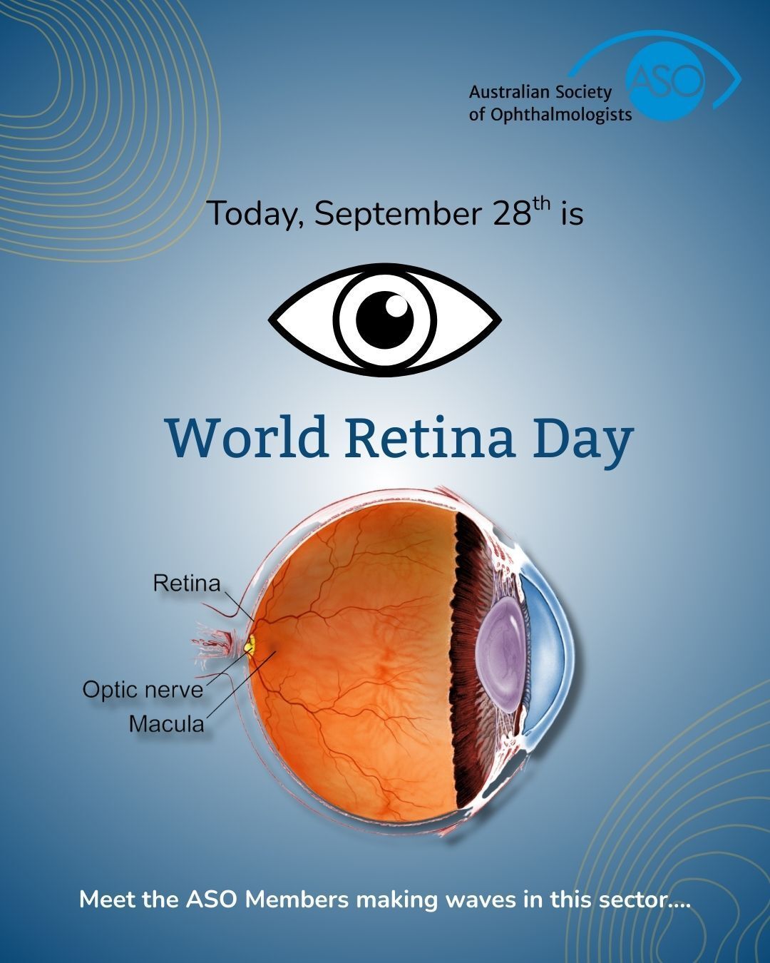 Australian - 👁️🌍 Today is World Retina Day 🌍👁️ Your retina is the light ...