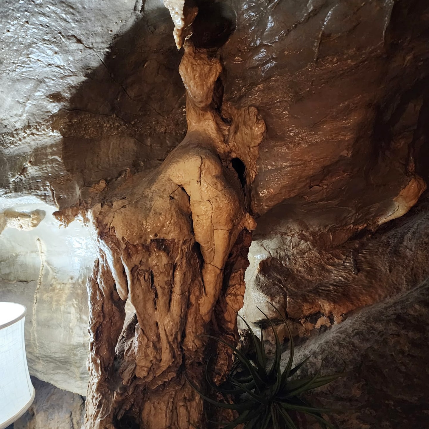 Beckham Creek Cave Lodge | Parthenon AR