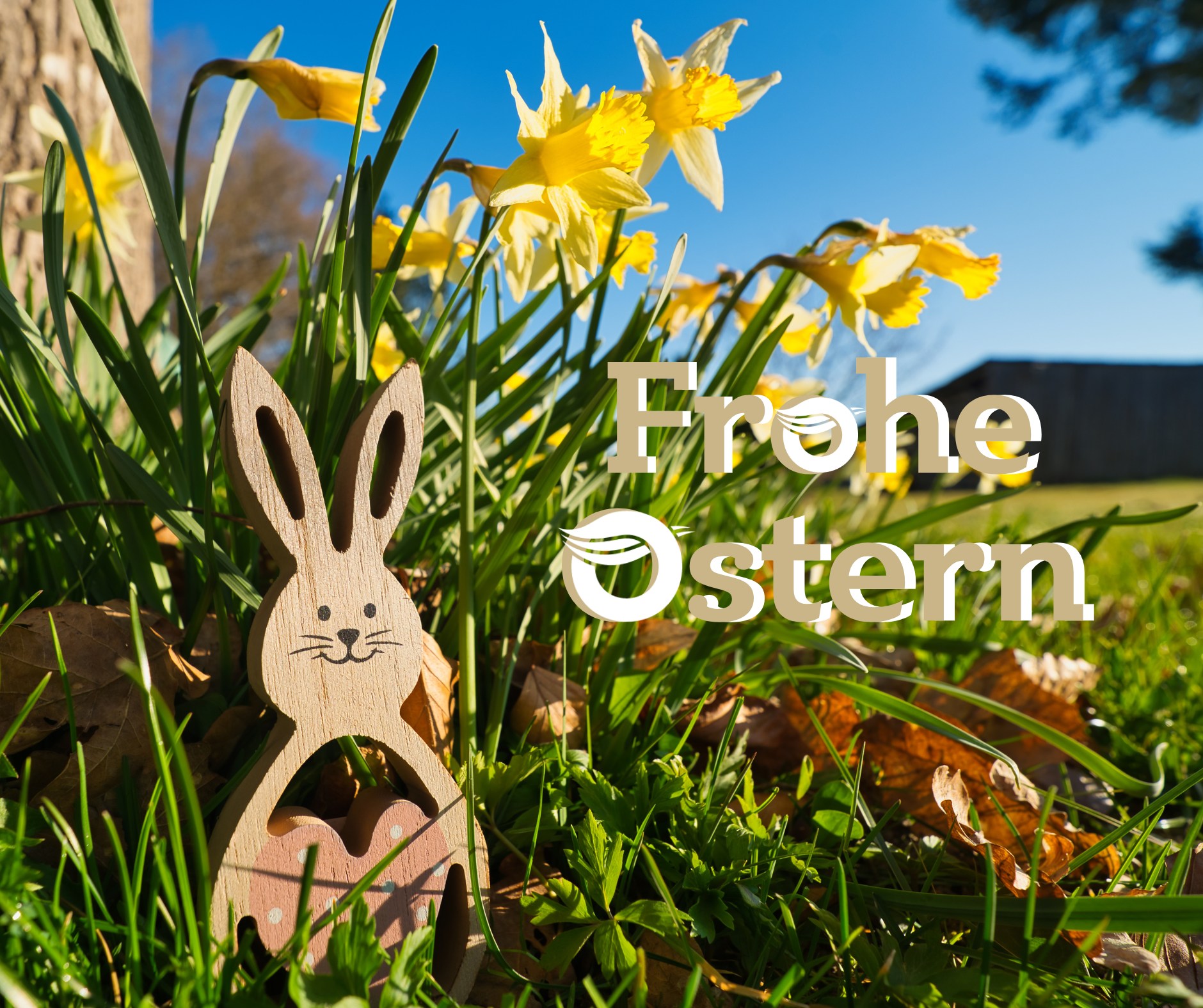 𝗙𝗿𝗼𝗵𝗲 𝗢𝘀𝘁𝗲𝗿𝗻 🐣🐰🌷 💐 Auch wenn der Frühling sich gerade nicht von seiner Sonnenseite zeigt, wünschen wir euch ein buntes, fröhliches Osterfest voller schöner Momente und kleiner Freuden. 🌱 Die Natur freut