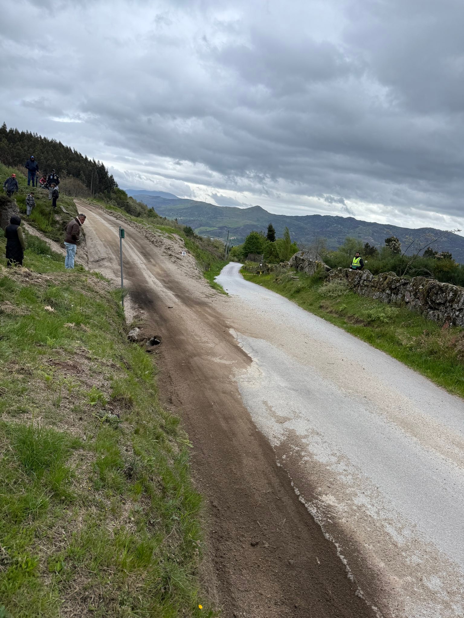 Tom Williams Rallying