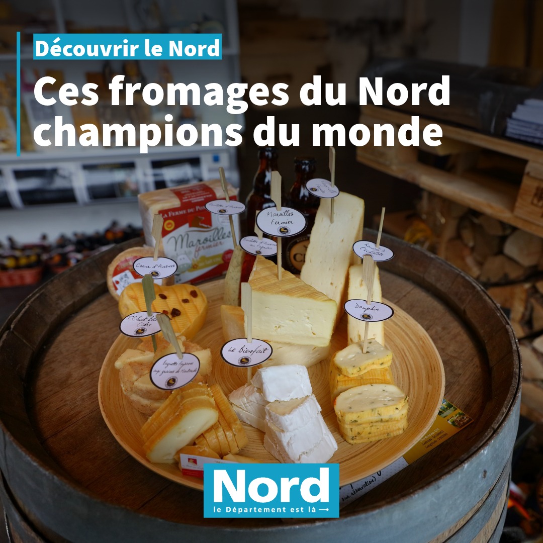 Sitemapcdatahttpsfoowindecoocombrocante Du Nord