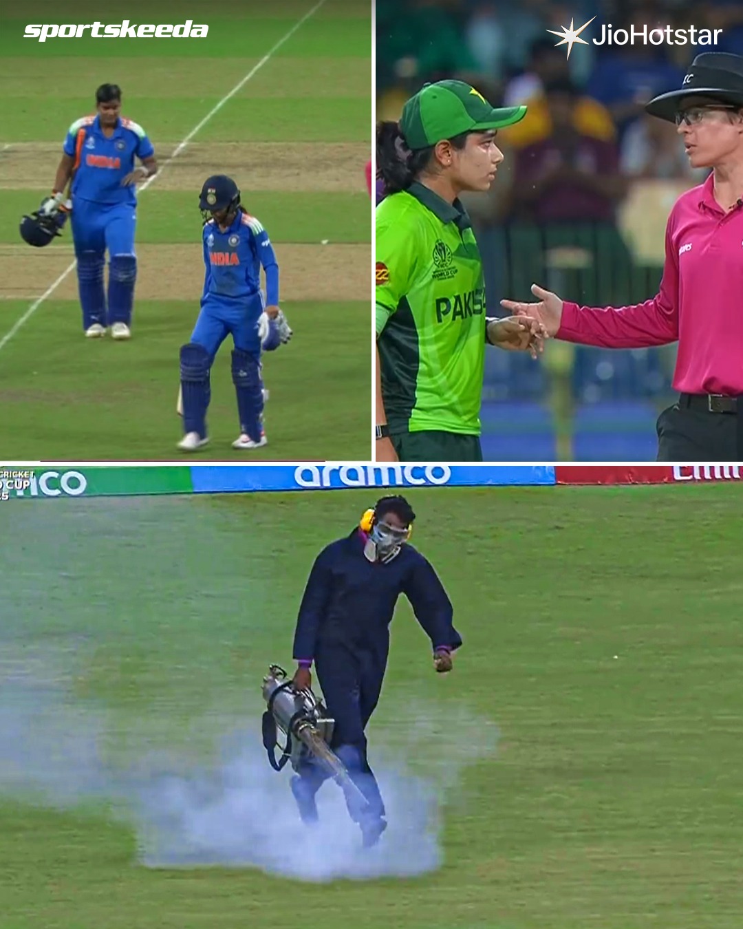 Sportskeeda - Players and umpires have left the field due to insects ...