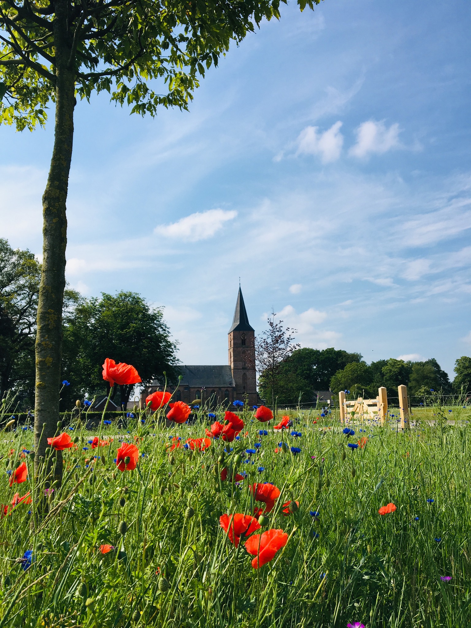 Rolderkerk | Rolde