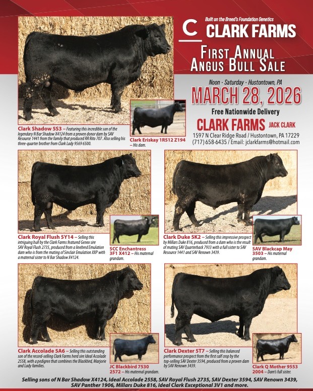 Clark - We are thrilled to announce the date for our inaugural Clark ...