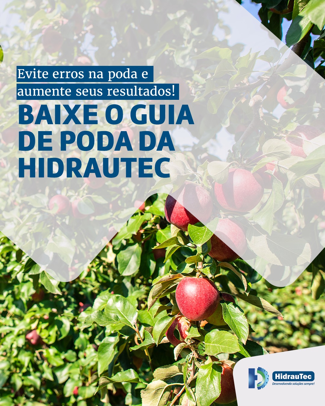 Hidrautec - 📢 Evite erros na poda e aumente sua produtividade! 🌱 ️ A ...