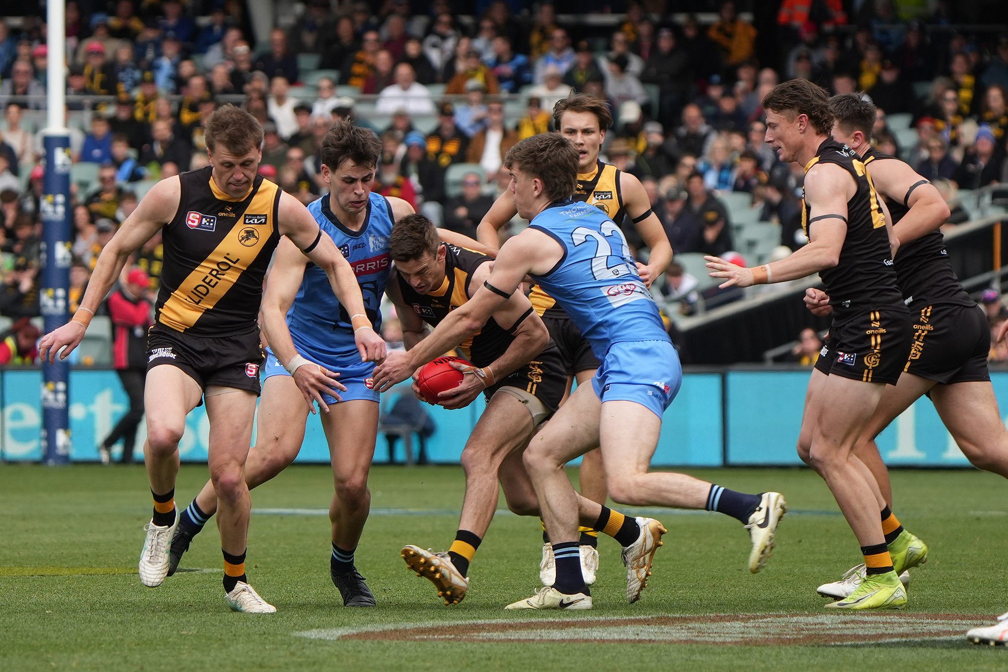Glenelg Football Club... - Glenelg Football Club (SANFL)