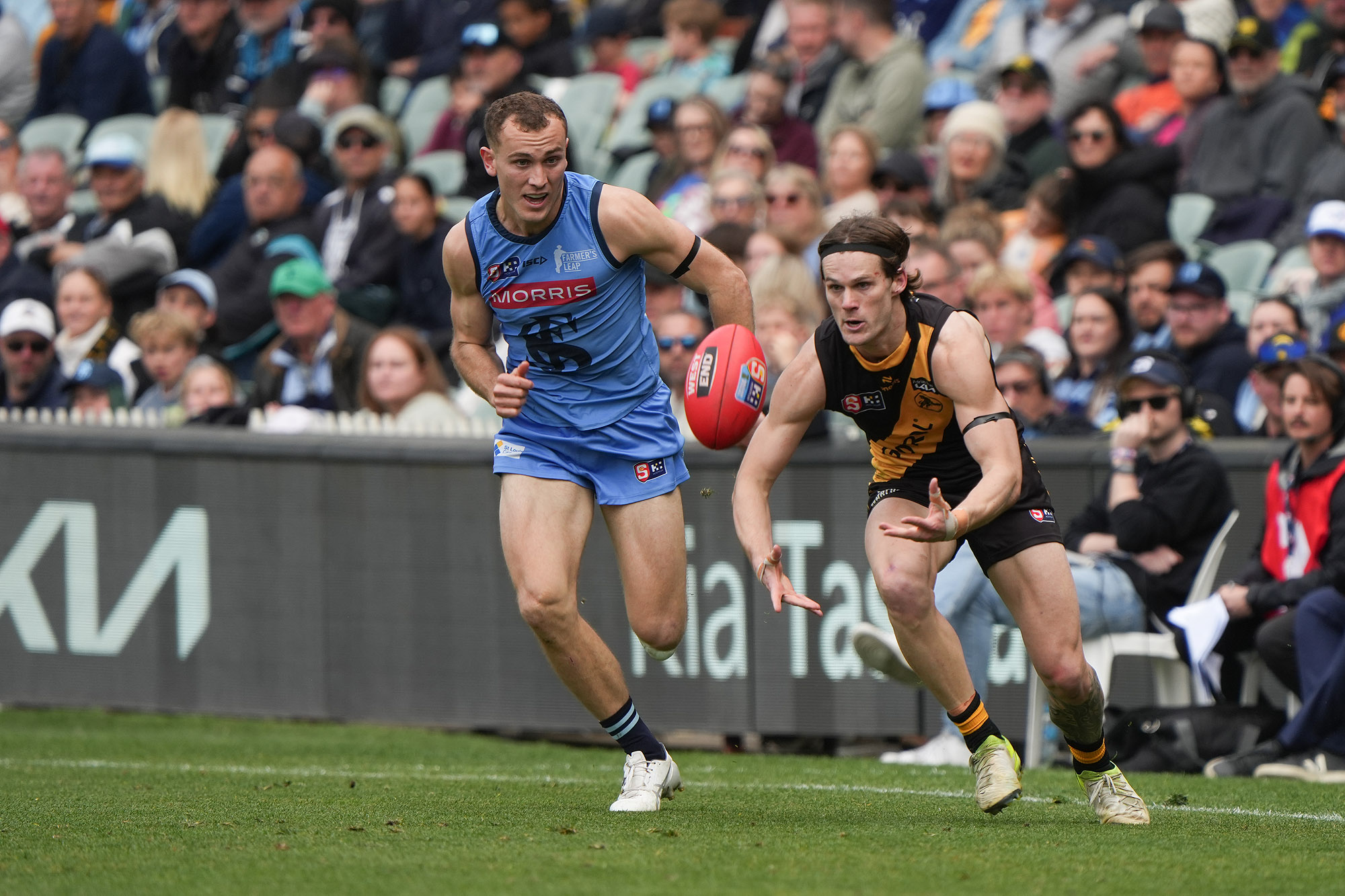 Glenelg Football Club... - Glenelg Football Club (SANFL)