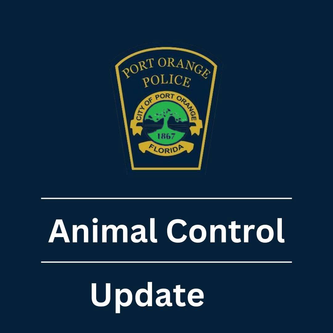 Port Orange animal control update for stray animals
