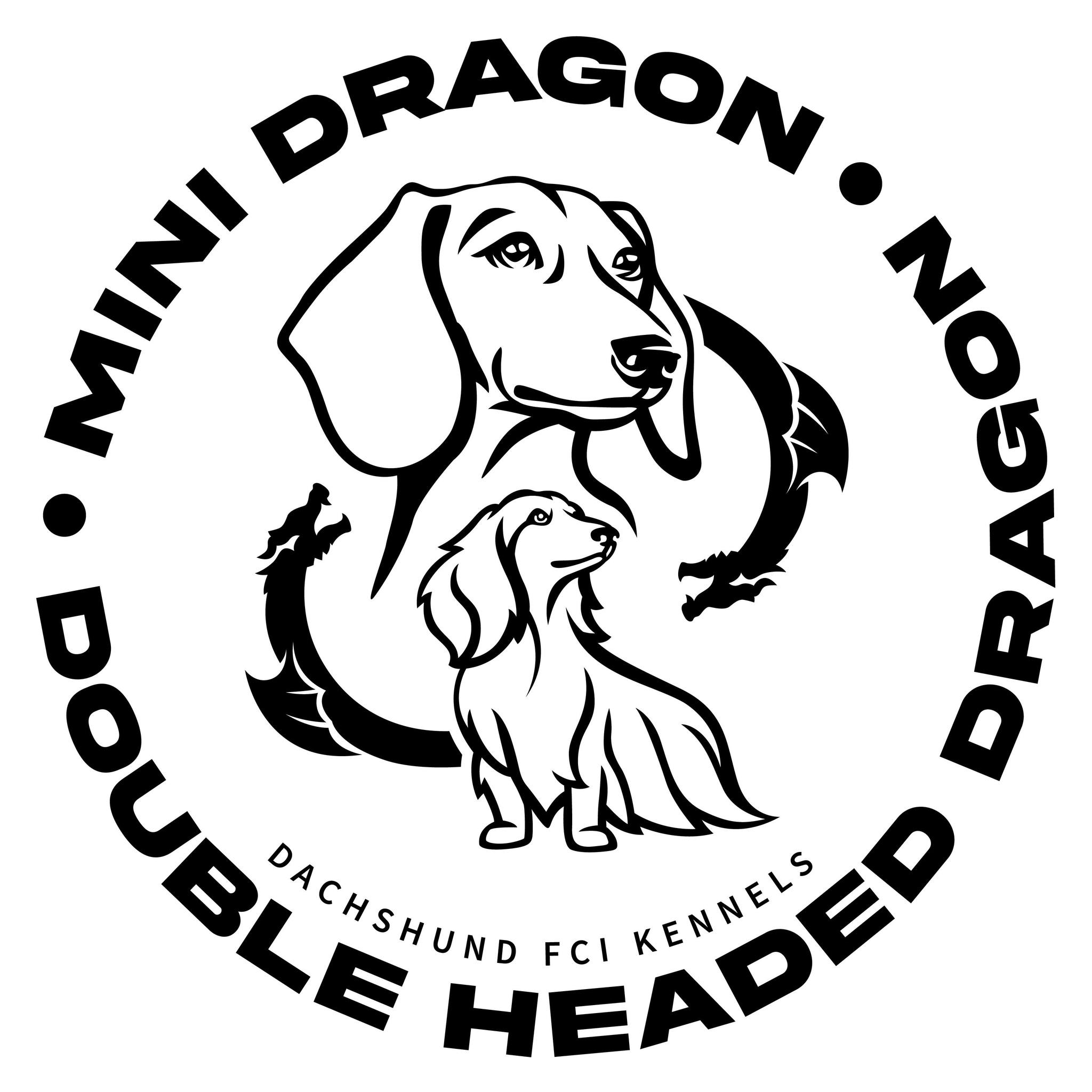 U nás doma si nikdy neni sám 🤩 ️🐉/ At our house, you’re never alone 🤩 ️ ...
