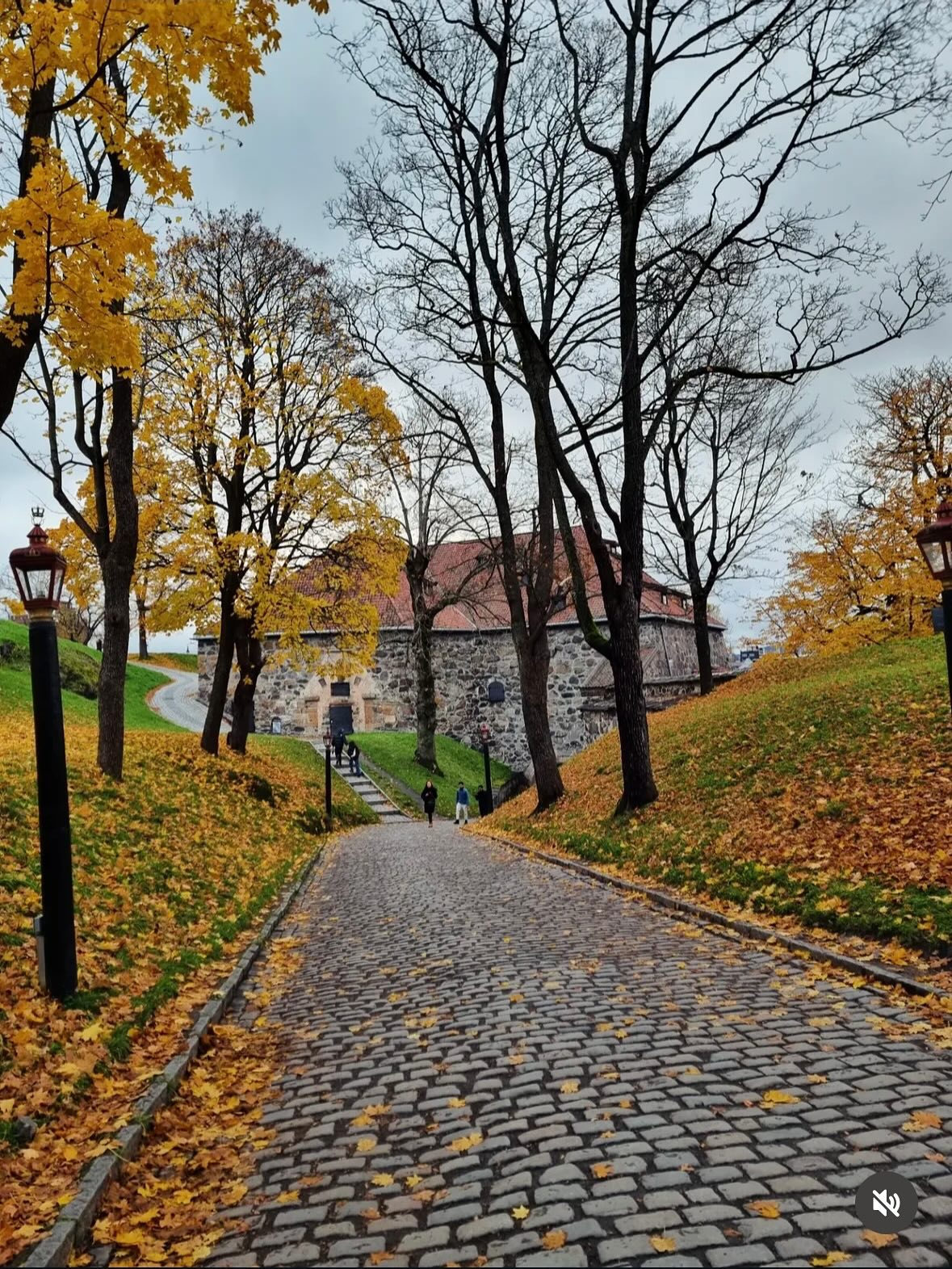 Visit Oslo - The Scream at the end of the rainbow 🤩 This is MUNCH, the ...
