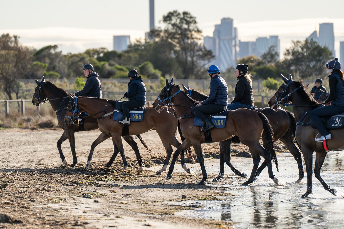 Flemington... - Flemington Racecourse and Victoria Racing Club
