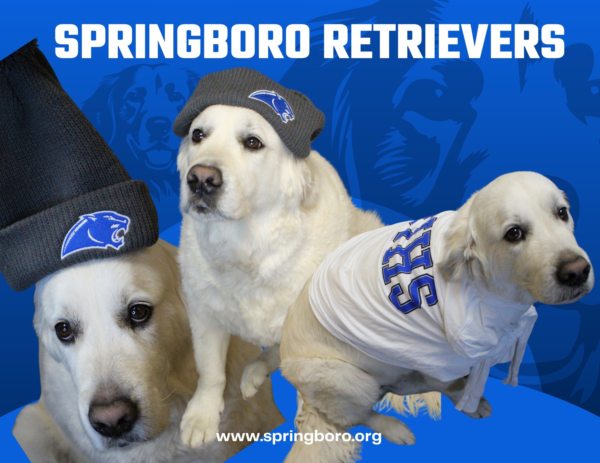 Springboro Schools - Springboro High School (SHS)/Warren County Career ...