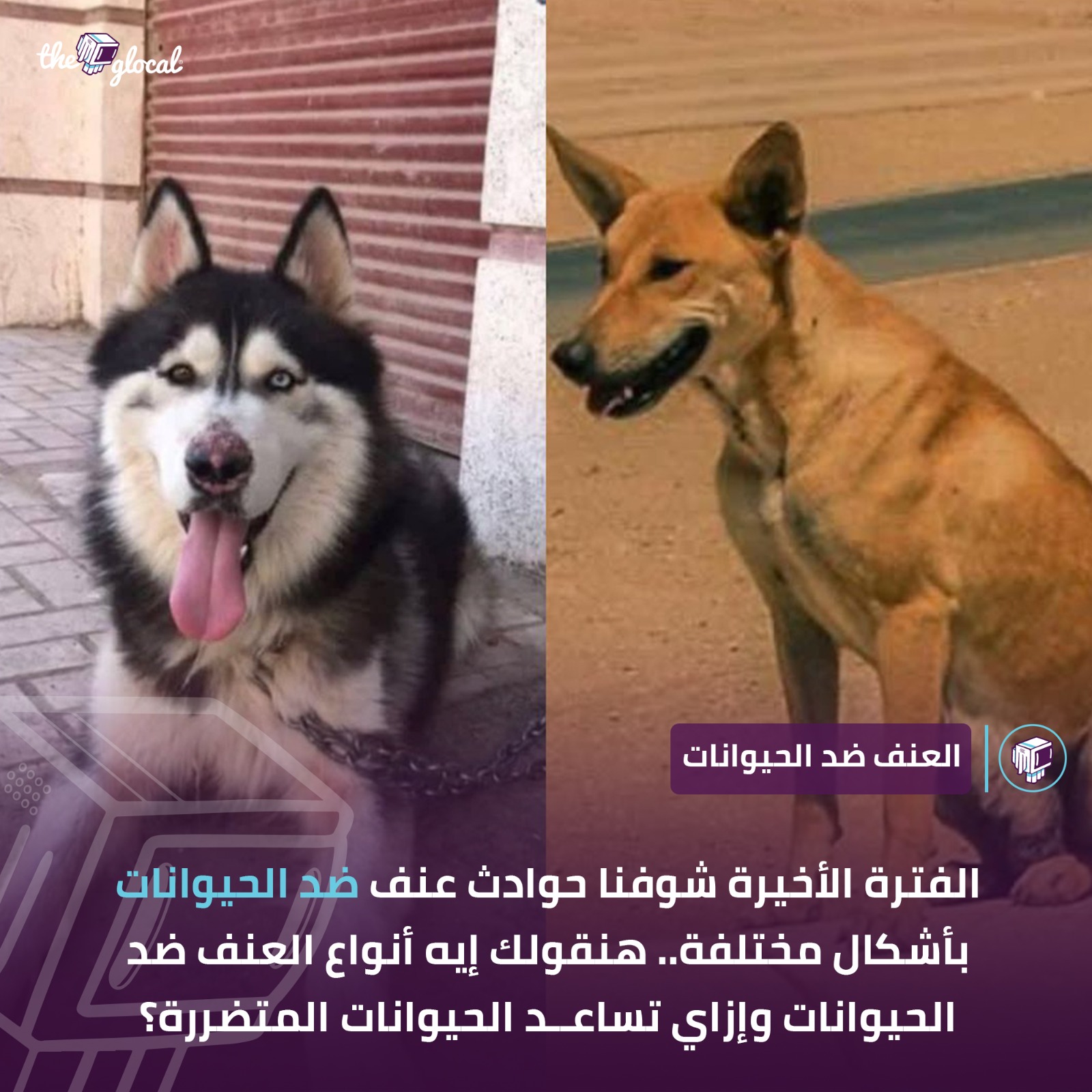 بيكاويات