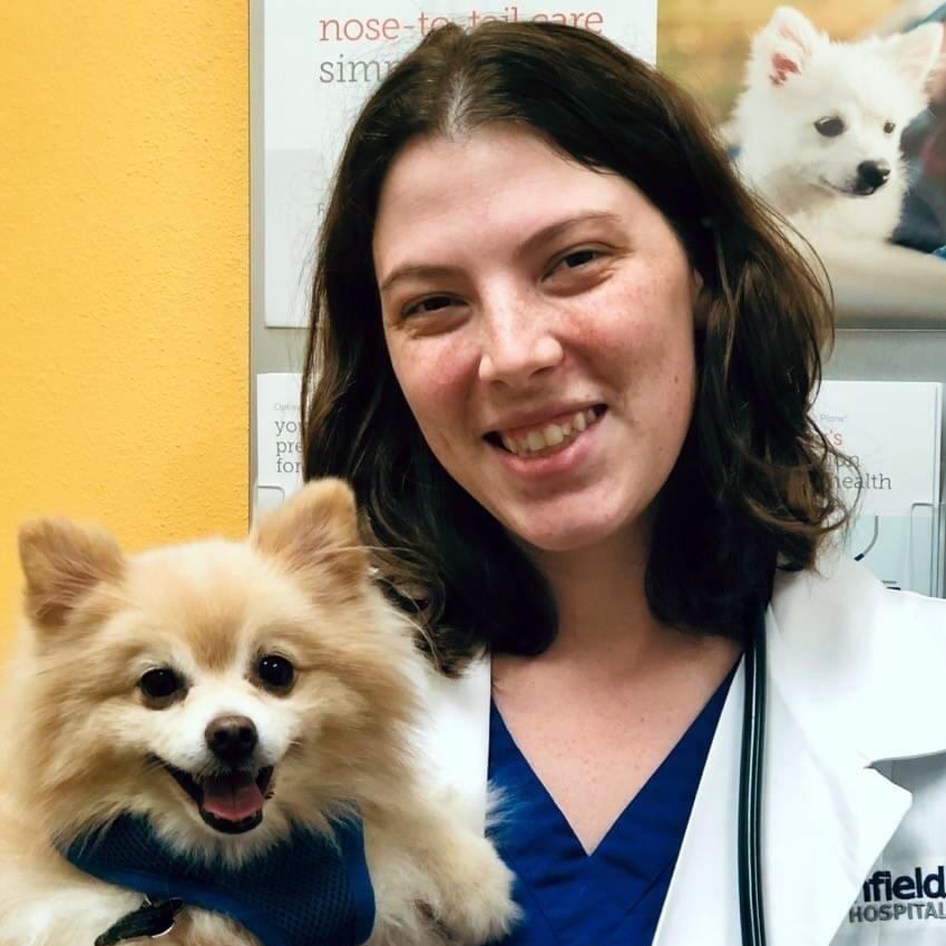 Banfield - 🐾 Protect Your Dog with Vaccinations in Spring! 🐶 Keeping ...