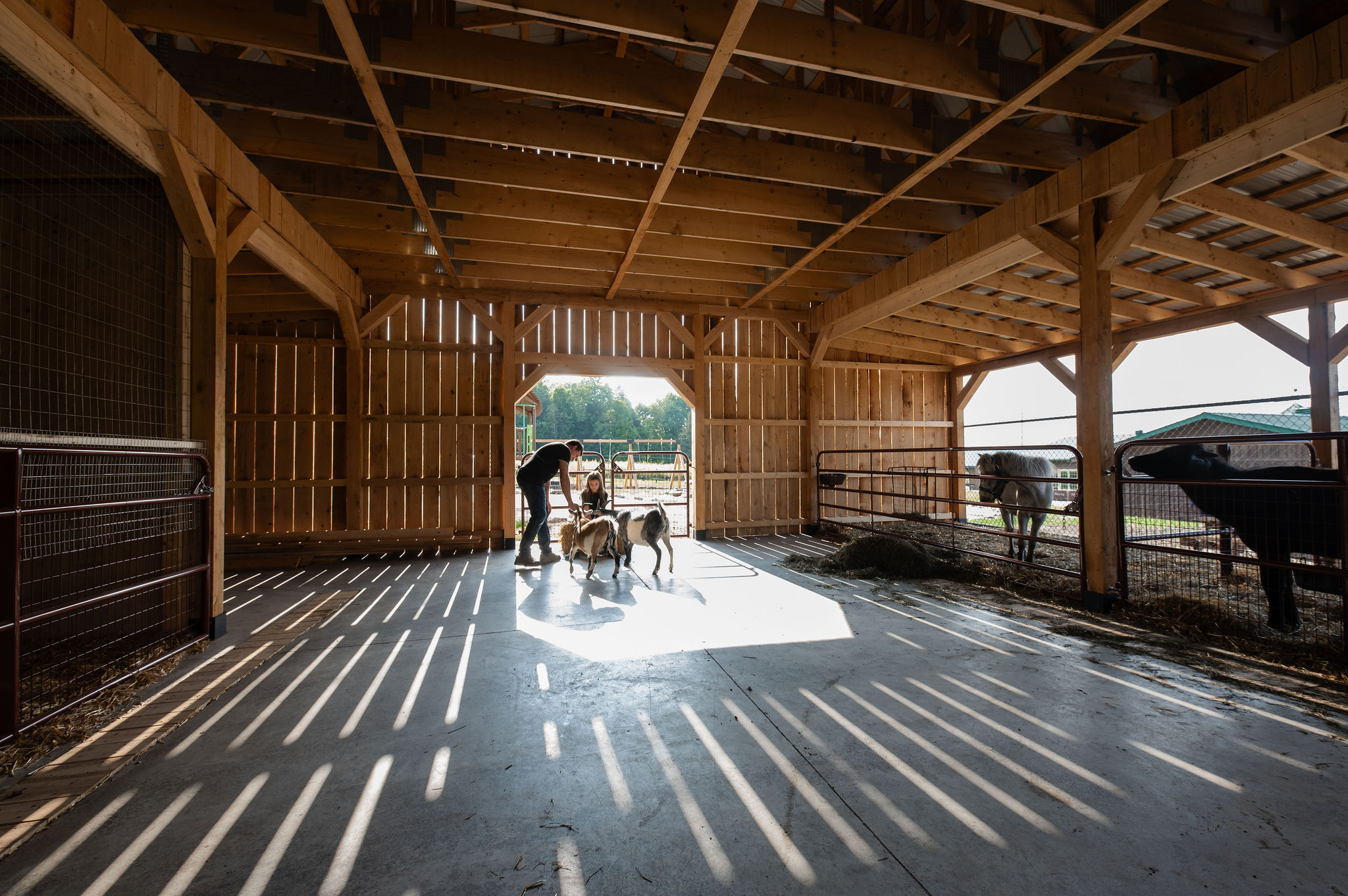 Vergers Hillspring