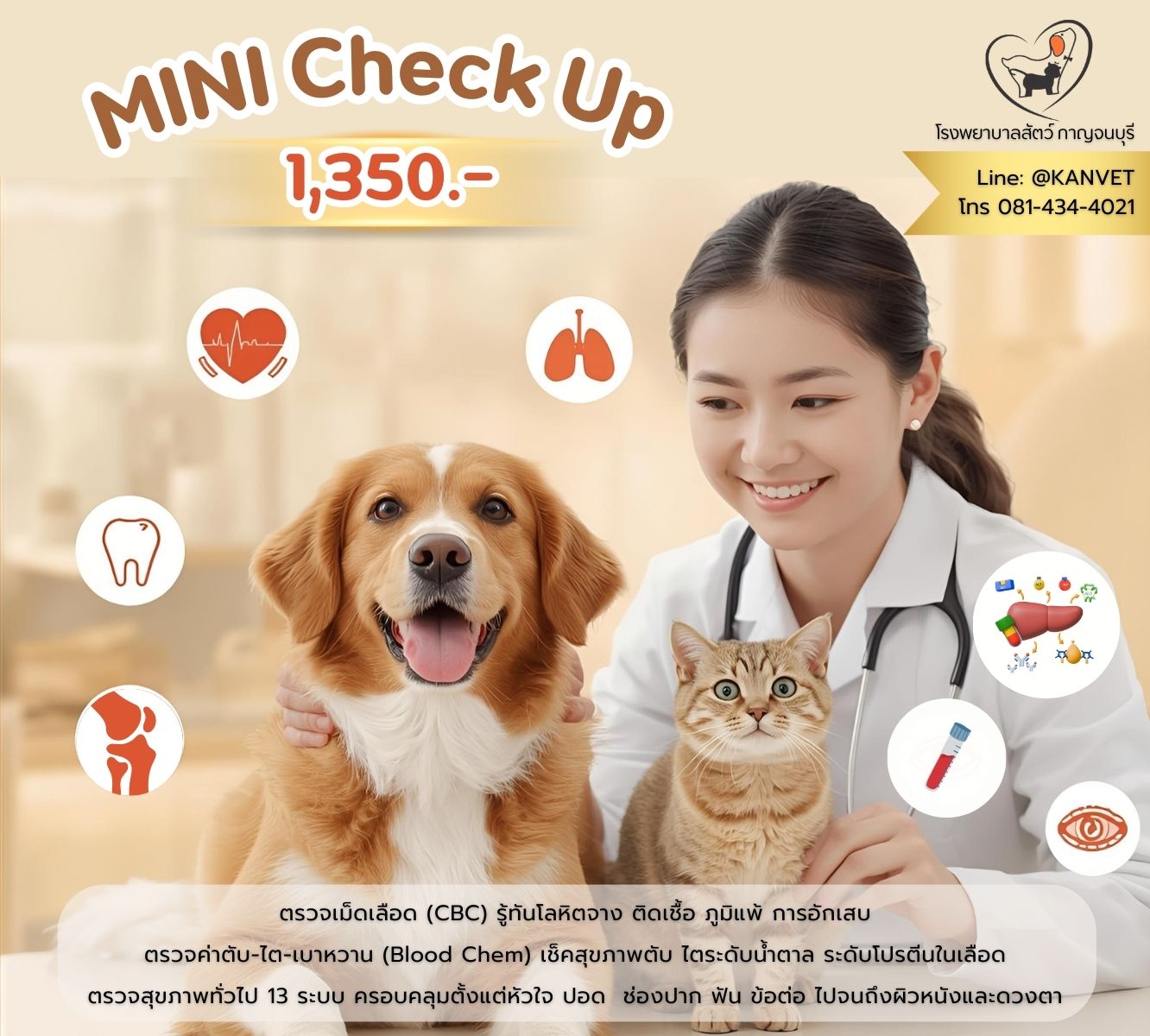 โรงพยาบาลสัตว์ - 🩺 Mini Health Check แผนดูแลสุขภาพปีละครั้ง…ของขวัญที่ ...