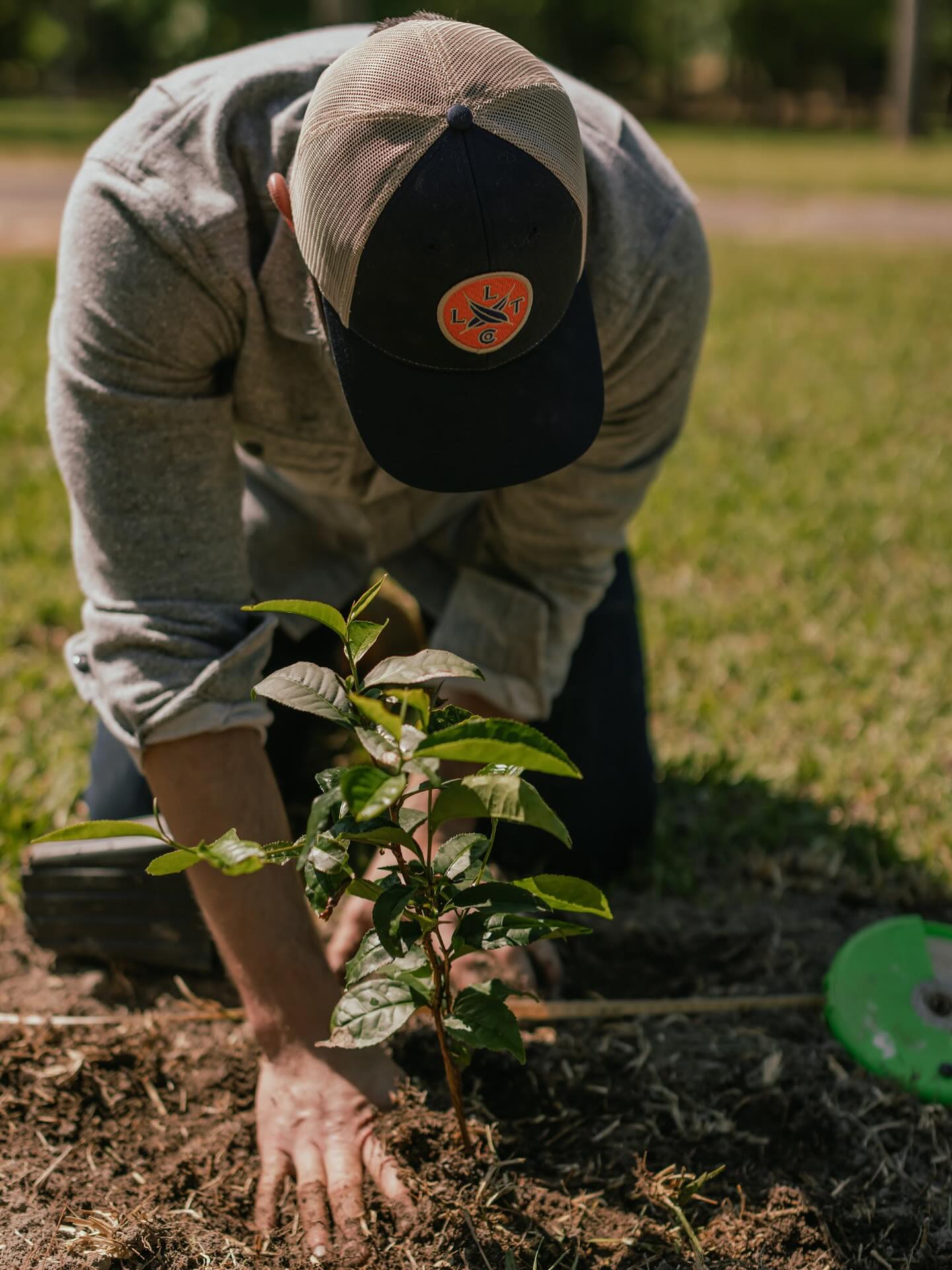 Longleaf Tea Company | Laurel MS