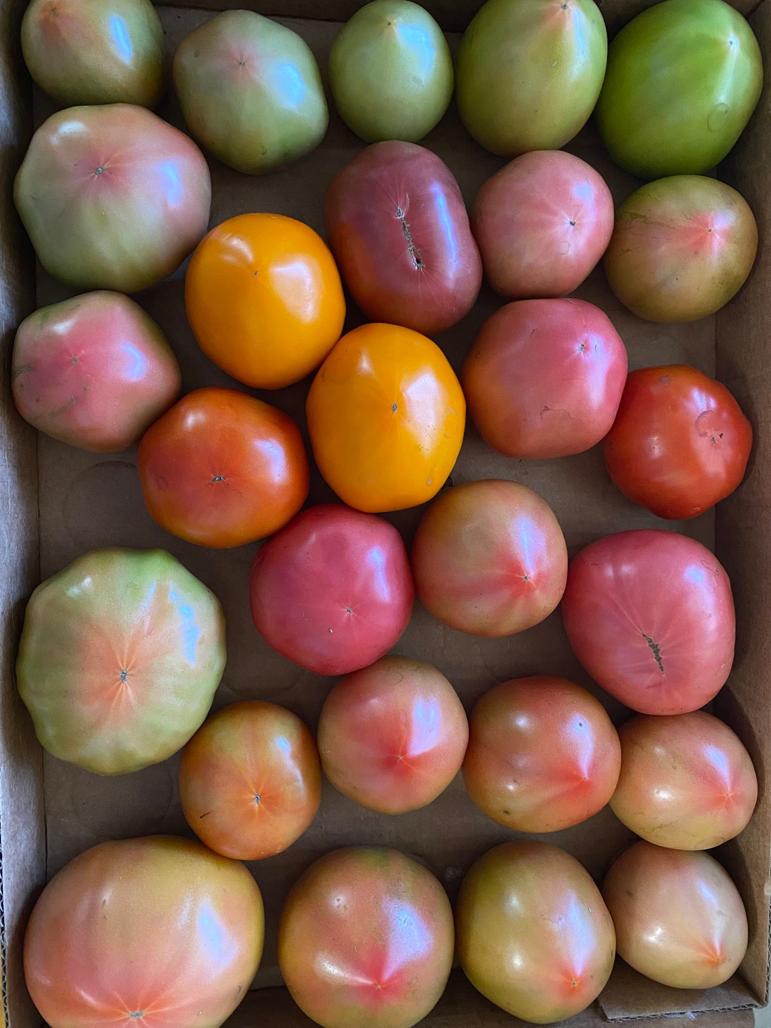 Beaver Creek Farm & Nursery | Rural Hall NC