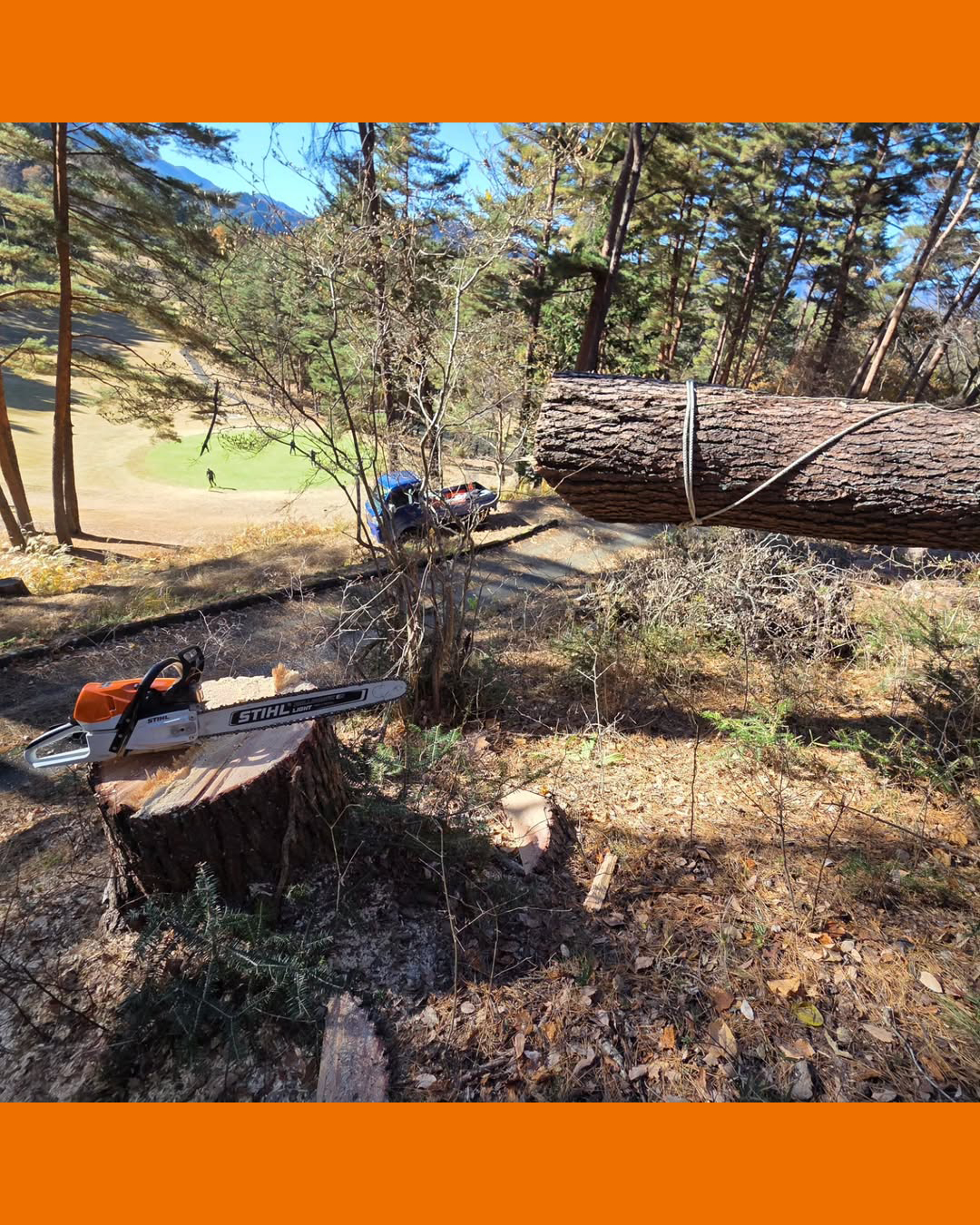 STIHL - STIHL added a new photo.