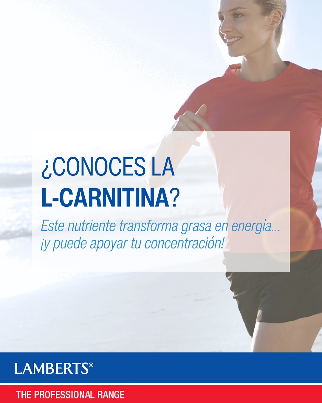 l arginina l carnitina L-Carnitina 60 Cpsulas