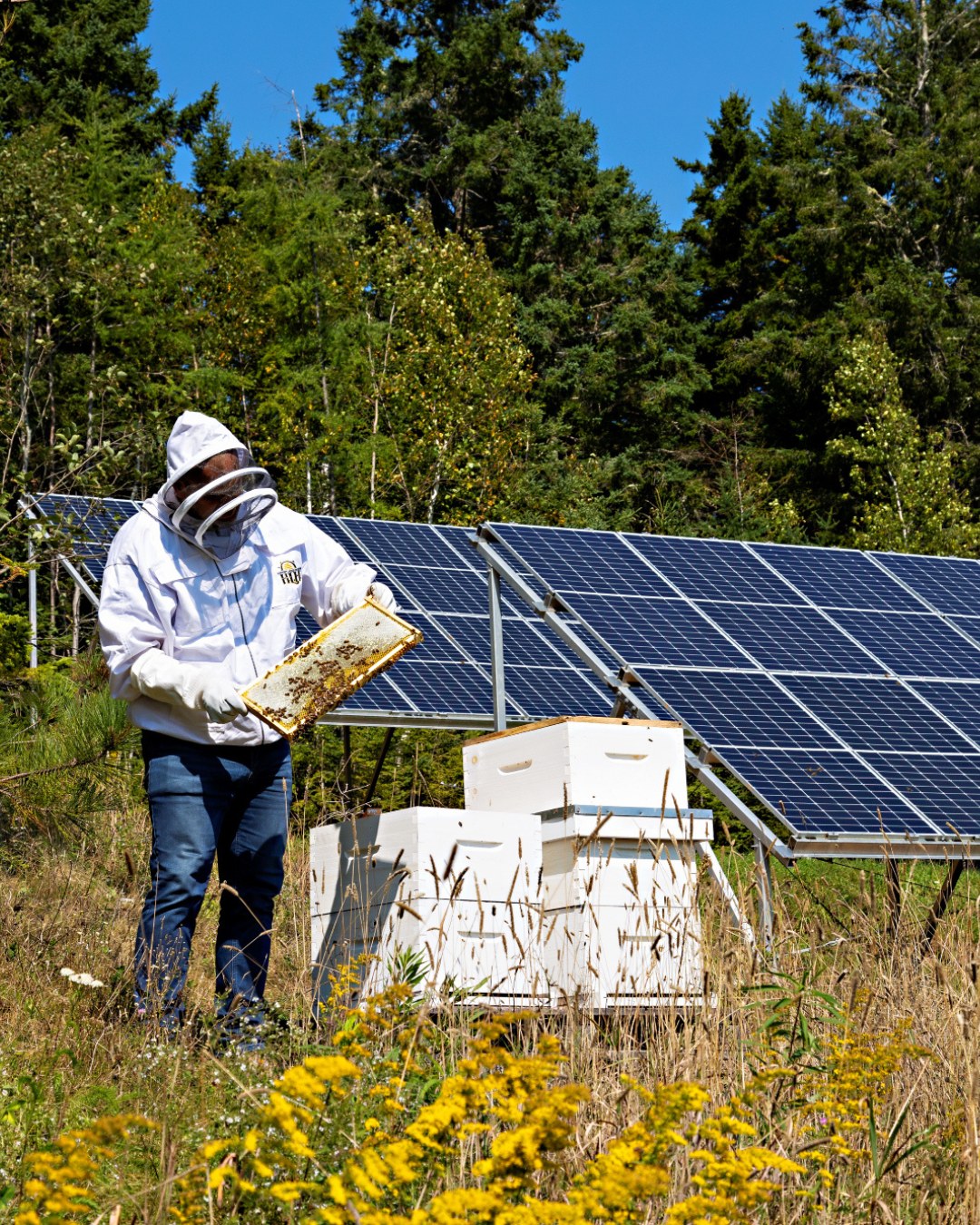 The Smart Energy Company | Hampton NB
