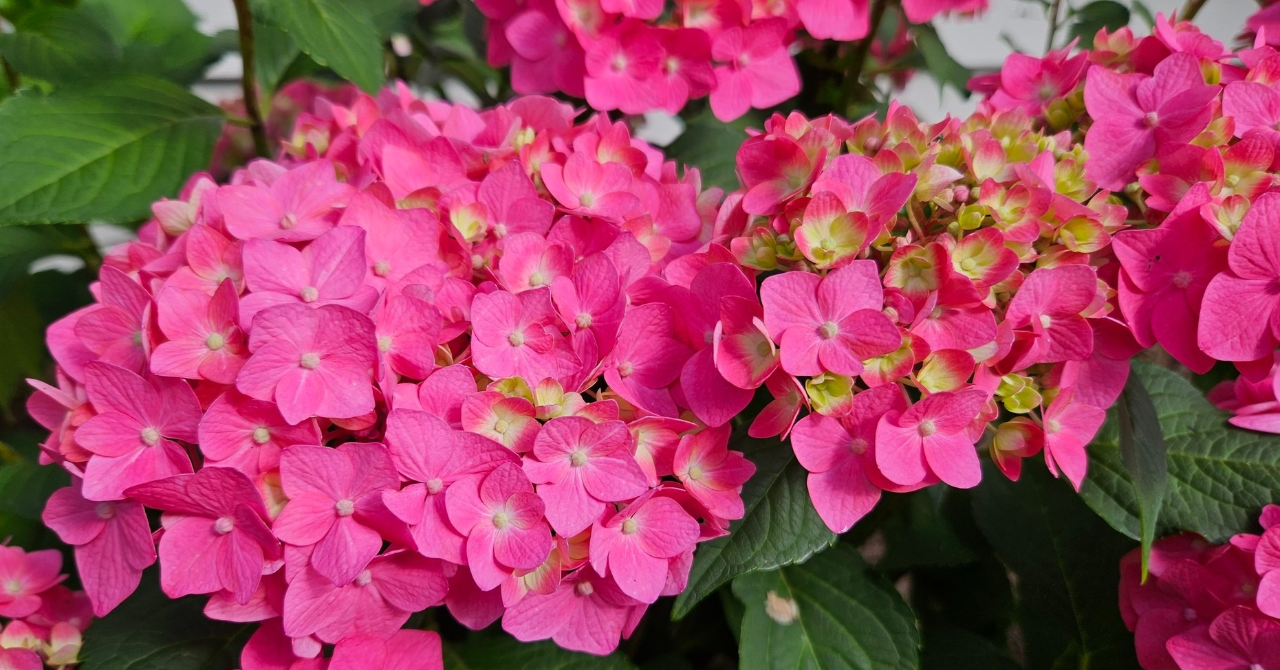 Orleans - Join us on Saturday, Nov. 1, for The Art of Growing ...