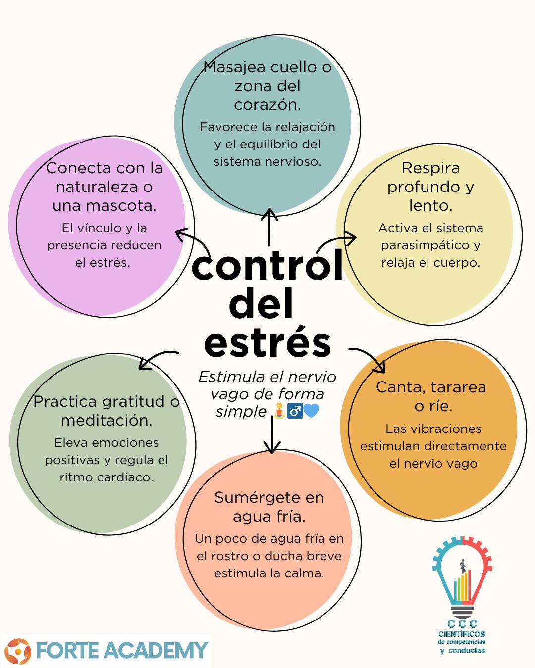 Expertos - 💙 Activa tu calma: estimula tu nervio vago ¿Sabías que el ...