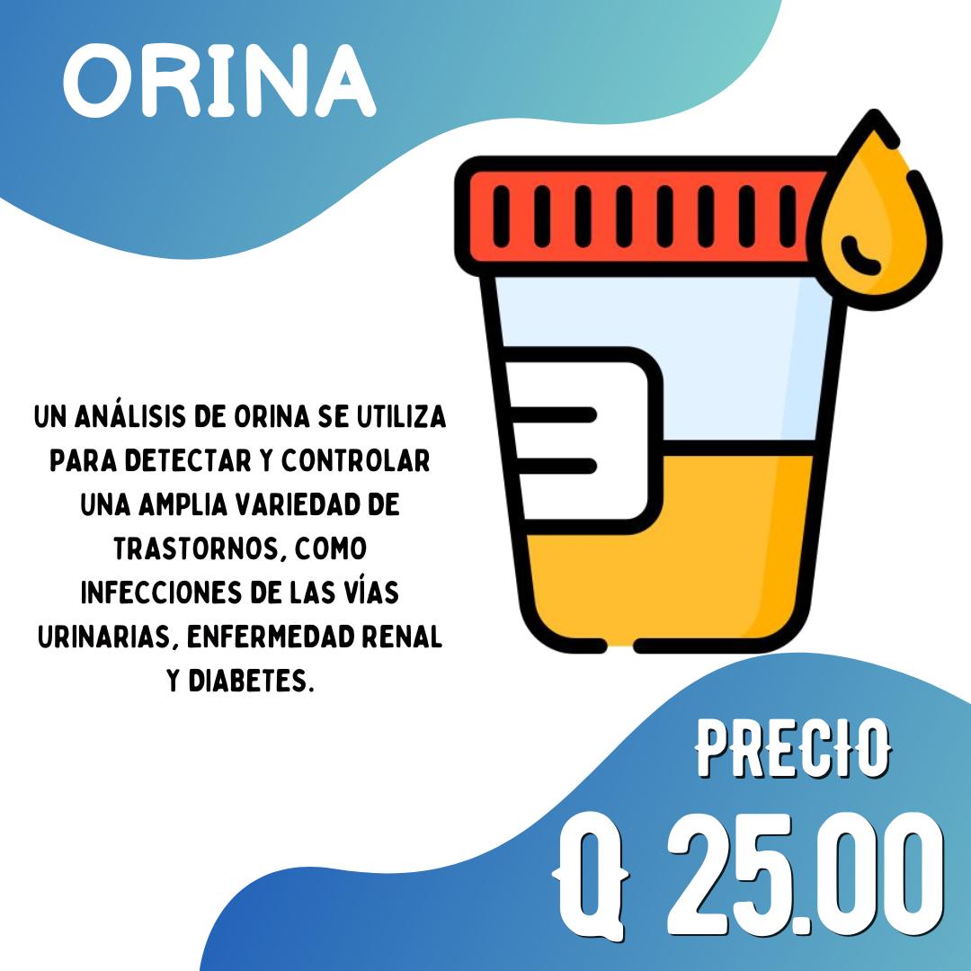 Laboratorio - Las infecciones de las vías urinarias no siempre causan ...