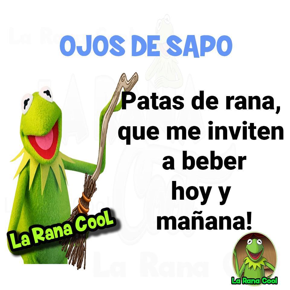 Frases de la Rana Rene Chistes y mas