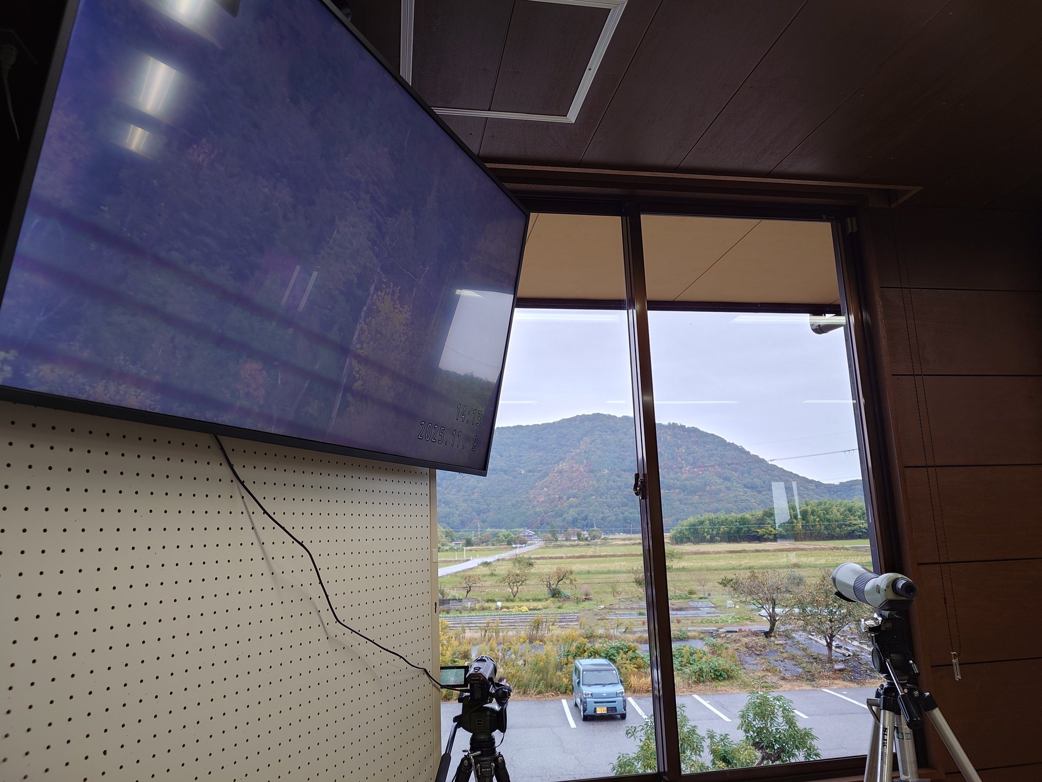 山本山のオオワシ今季初渡来！】 本日11月9日11時48分、山本山の 