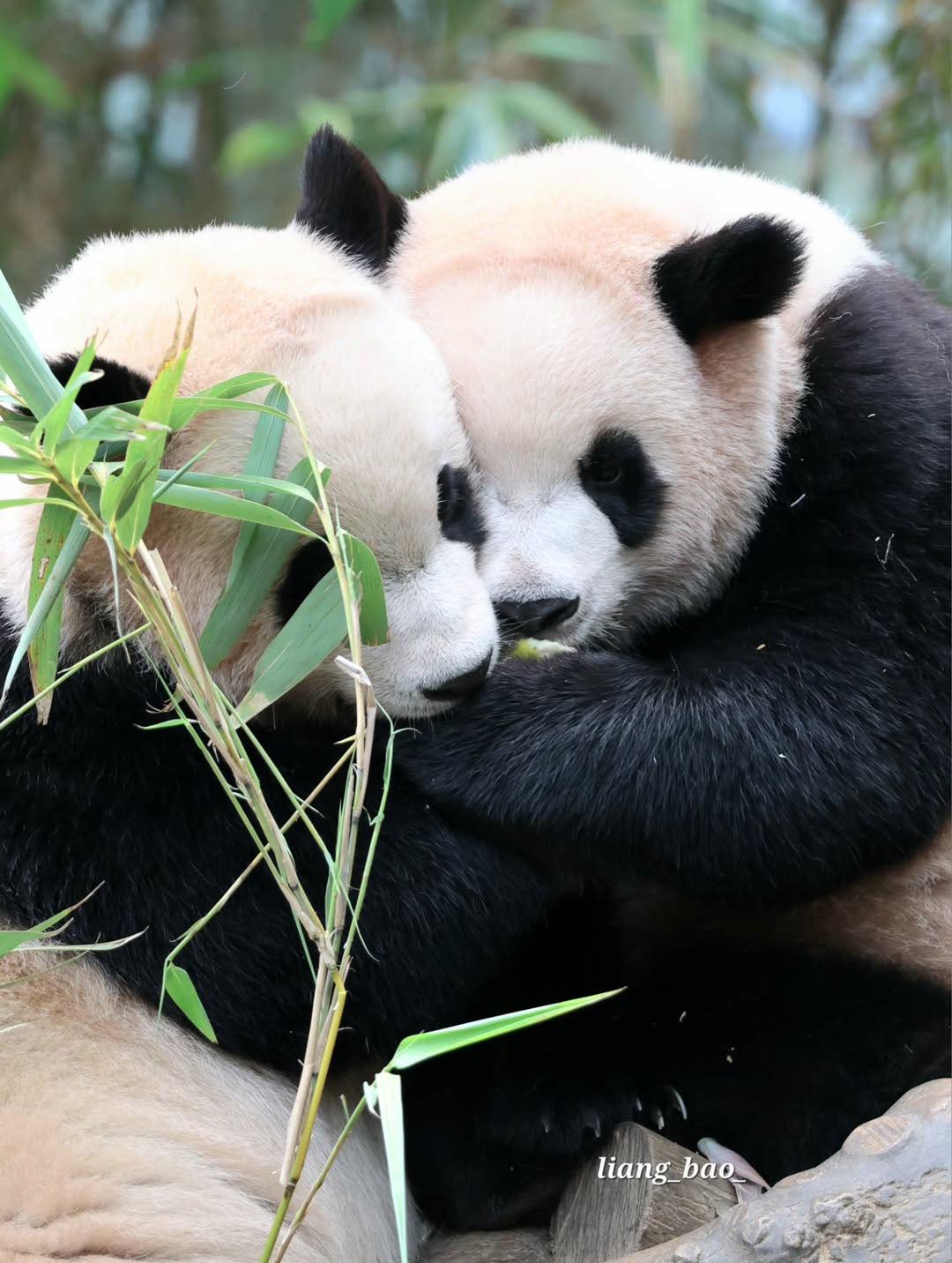 Rui Hui đáng yêu added a new photo. - Rui Hui đáng yêu